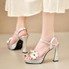 Fashion French Silver Platform Heels Women's Summer Round Toe Flower One Buckle Block Heel Sandals