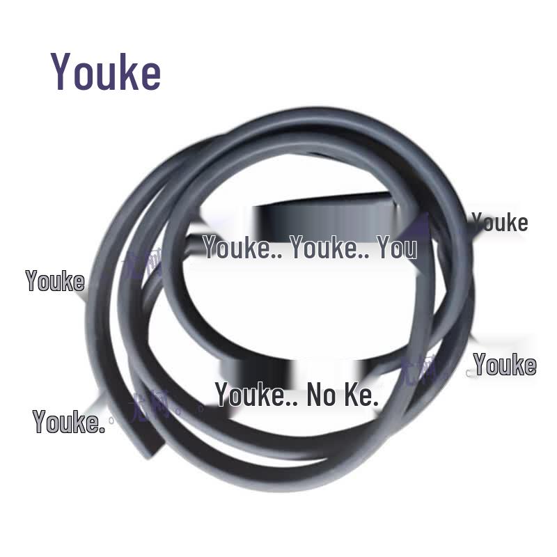 Youke Car Door Seal Strip for Shaanqi SX2190
