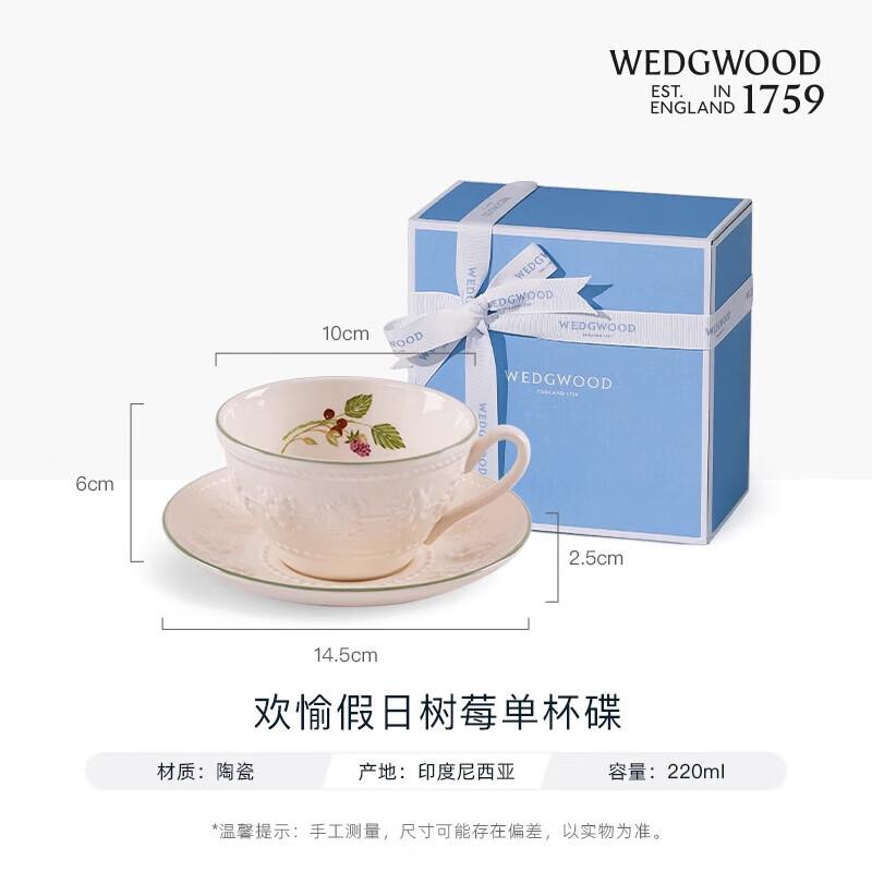 Wedgwood Joyful Holiday Raspberry Teacup and Saucer Set