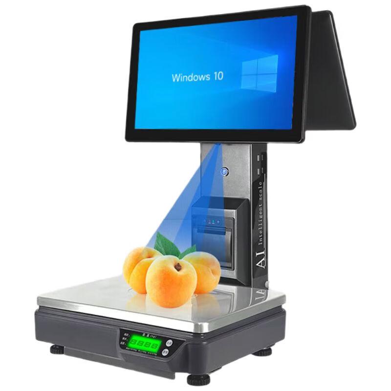 Hamilton Integrated Weighing POS Systems CN plug (adapter included)
