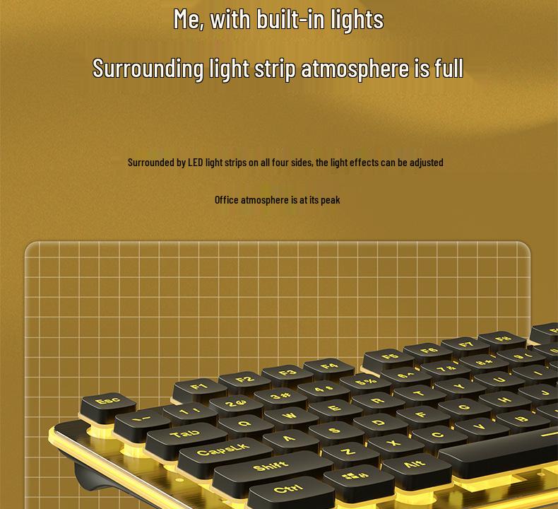 Langtu Wired Backlit Mechanical Keyboard for Office and Laptop Typing (Girls Edition)