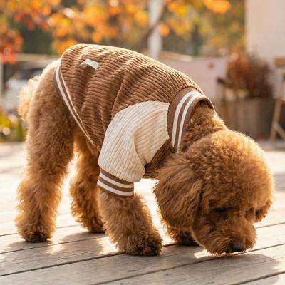 Warme Hunde-Baseballjacken Bequeme Verdickte Zweibeiner-Hundekleidung Bestickte Muster Hundepullover Frühling Herbst Kleidung