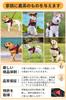 Veterinarian Recommended Dog OGURIYA Dog Dog Gentle on the Dog Ergonomically 5 Colors to Choose from [Newest Model, Harness] Harness,