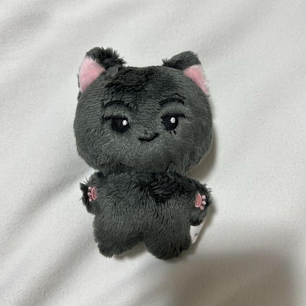 [USED] ENHYPEN Jay Plush Toy Master