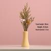 Morandi Style Small Vase: Coffee Table, Living Room, Dried Flower Arrangement, Homestay & Home Decoration