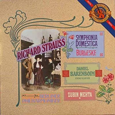 CD STRAUSS, R. STRAUSS - Sinfonia Domestica / Mehta 32DC1069 Japan Classical Used