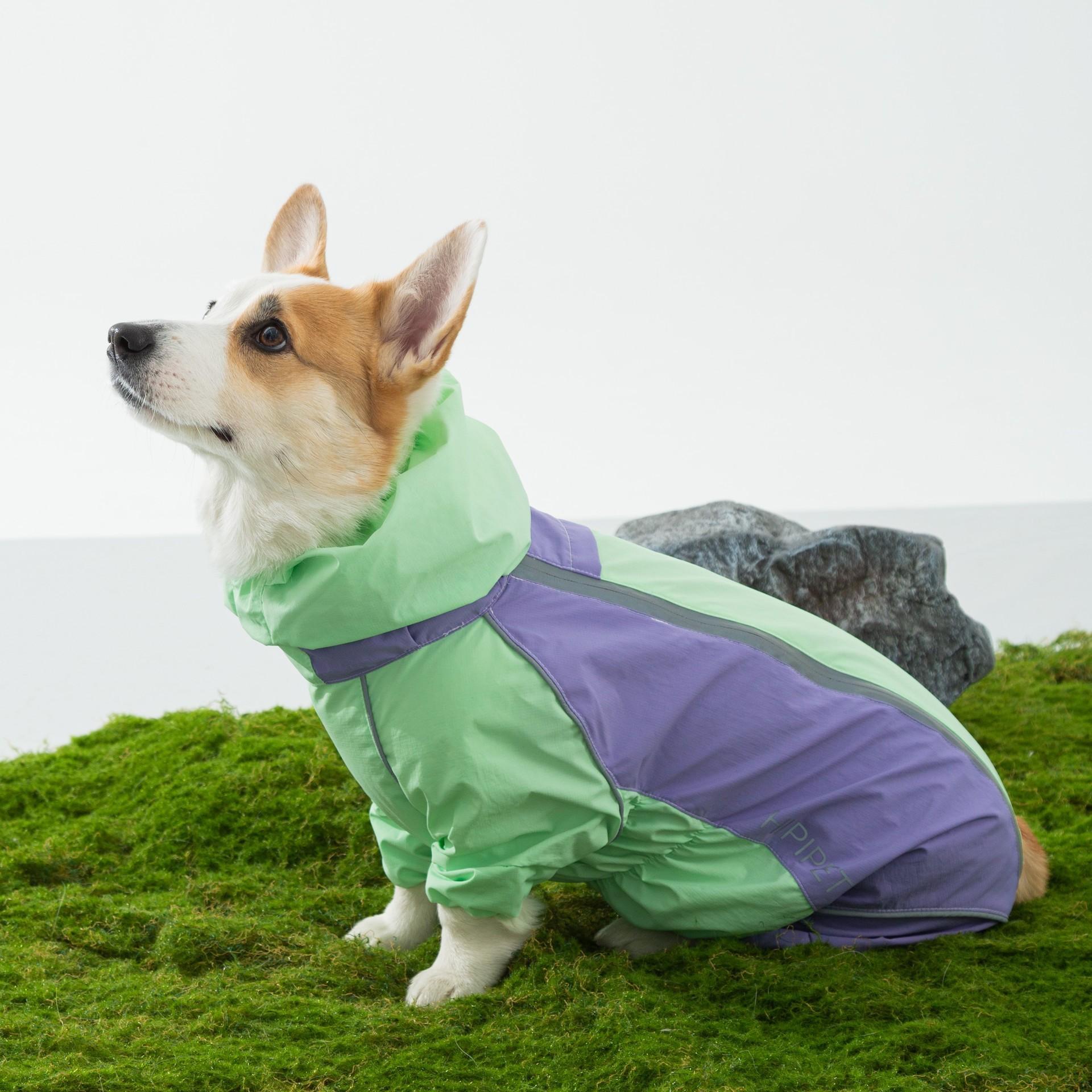 

Новый дождевик для собаки корги, маленькие и средние собаки могут носить его в любое время года, водонепроницаемая, дождестойкая и влагозащищенная одежда для прогулок L (recommended weight 19-12 kg)