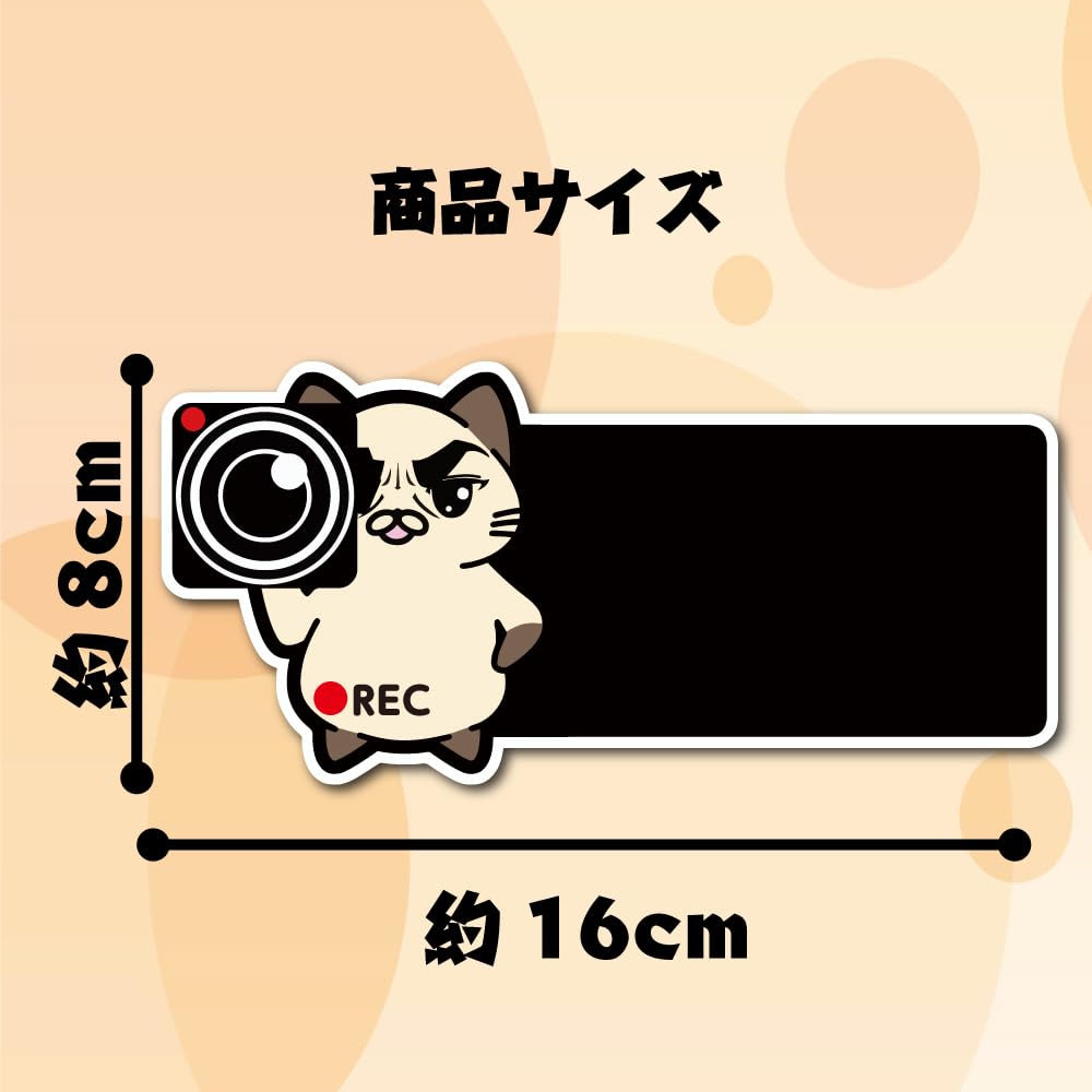 SignStore Cat Holding Camera Traffic Safety Sticker 8cm x 16cm Vinyl Made in Japan car_character_01 (Tai Mayu A)