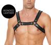 Buckle Bulldog Harness Black - Ouch! Harness - Men's Harness