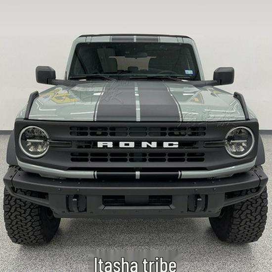 Bronco Wild Horse Car Hood & Pinstripe Stickers for Decoration & Modification