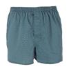Triumph Men S Geometric Green Cotton Holder meSh Trunk Tfmtk613gr