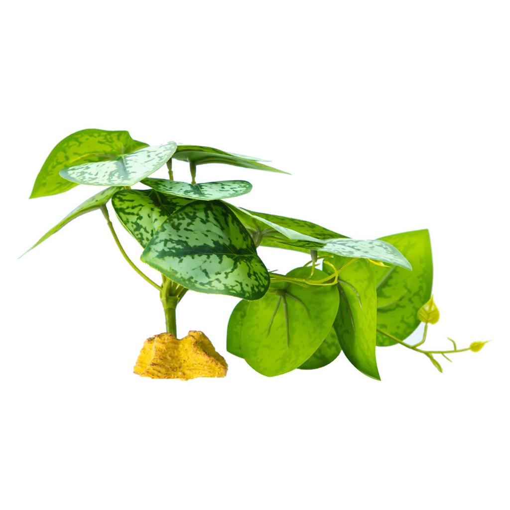 Akwaria Gady Pnąca Trawa Roślina Terrariowa Dekoracja Akwariów Terrarium dla Płazów Jaszczurek Węża