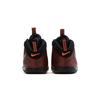 Nike Air Foamposite Pro Color Shift TD 843769-800