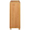 Storage Cabinet in Brown Wood Based Material
