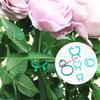 Mehrere feste Gartenclips, Kletterpflanzen, Blumenkreise, Kunststoff-Schnallen, Gartenpflanzen 8-förmige Schnallen
