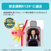 Aprica Child Seat Seat Belt Fixed Air Carry AB Newborn To 15 Months R129 Compatible Travel System Infant Car Seat 2194224 5-in-1 (Gray) [2023 Model]