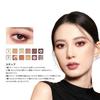 PERFECT DIARY Animal Eyeshadow Popular Eye Highly Pigmented Highly Adhering Makeup Palette x 12 Palette, Makeup, Gift, & (1.2g Shades) (Chestnut