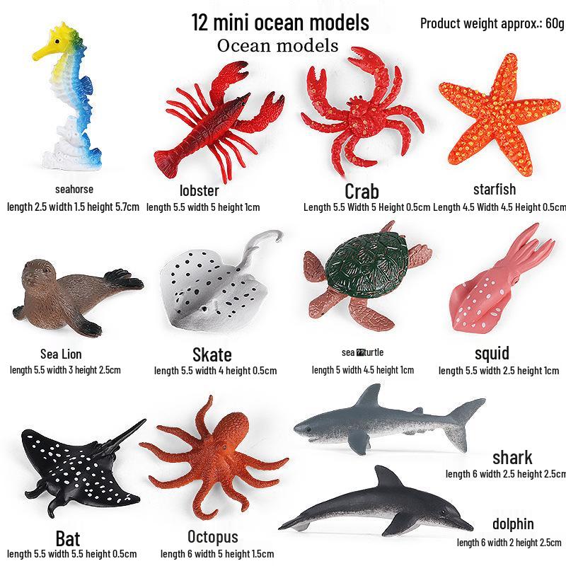 Cross-Border Children's Cognitive Amphibian & Reptile Tortoise Model Fish Tank Ornament Toy