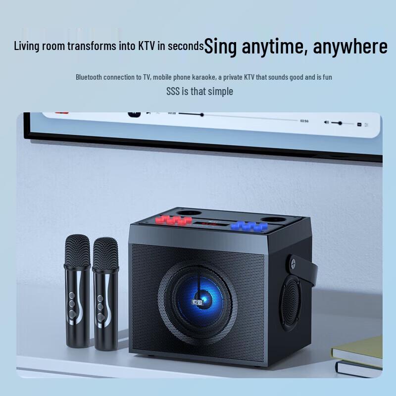 Soaiy SA-X13 Home KTV Audio System