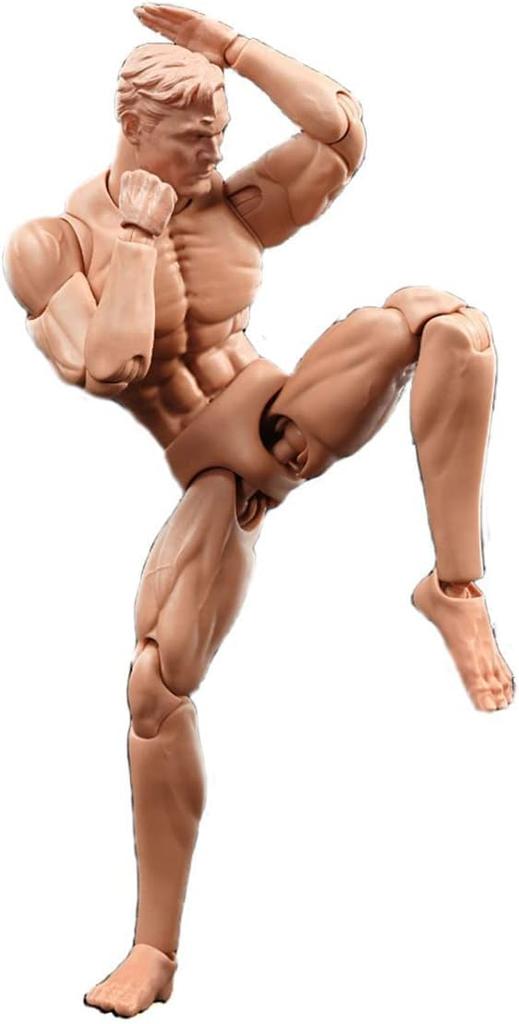 Scale Male Action Figure Model Super Applicable Medium Muscular Strong Custom Handsome Solid Figure Body 6inch Polybeel Miniature Collectible Doll