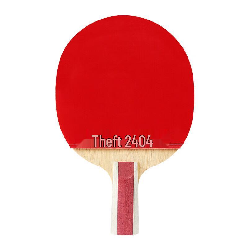DHS Hurricane Series Table Tennis Racket