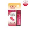 Burt's Bees Tinted Lip Balm Magnolia