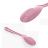 Home Plastic Ice Cream Party Kitchen Utensil Cake Dessert Spoon Scoop Rice Scoop Wheat Straw Spoon