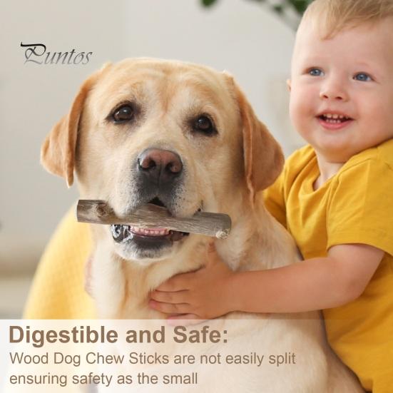 Wood Dog Chew Stick Natural Wooden Bones Dog Teeth Cleaning Toy Dental Health Care Stick Organic Pet Chews for Dogs