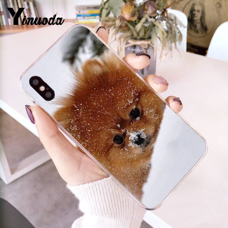 Yinuoda Pomeranian Dogs Dog Colorful Cute Phone Case for Iphone 13 8 7 6 6S Plus X 10 5 5S SE XR XS XSMAX11 11pro 11promax