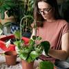 Acrylic U-Shaped Plant Climbing Frame Transparent Durable Indoor Vine Flower Pot Support Structure for Garden Home Decor