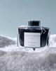 Pilot Winter INK50FS Ink, 50ml, Ink, FS,