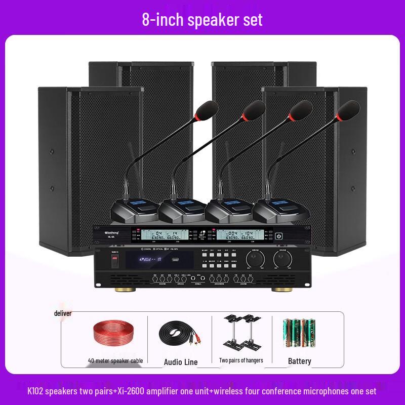 QIASHENG Professional Conference Room & Stage Audio System CN plug (adapter included)