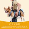 Staircase Dog Lift Dog Lift Pet Support Rehabilitation Sling Lift Adjustable Padded Breathable Strap Dog Lift for Disabled Dogs with Reduced Dog Thick