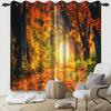 Orange Yellow Leaves Curtain Fall Scenery Forest Trees Window Drapes Panels Set Patio Office Living Room Curtains Light Blocking Polyester Great Decor