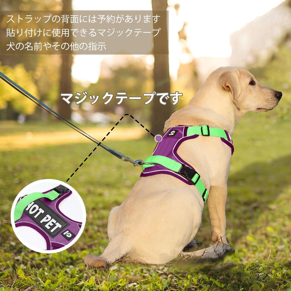 Recommended for Shiba XINIDEA Sturdy and Durable Dog Harness with Name Tag Attachment on the Suitable for and Extra Large Includes Choking Adjustable