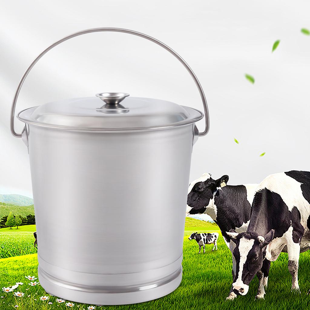 Stainless Steel Bucket with Lid, 8L/8.5Qt, Multi-Purpose Pail for Milk, Compost, Kitchen - Wide Open Lip & Comfortable Handle