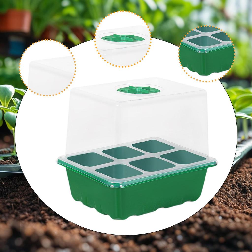 Plant Starter Tray Growing Indoor Vented Kit 6 Cells for Wheatgrass Seedling