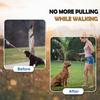 Dog Chain Collar Metal Martingale Anti Chew Training Collars Chew Proof, Chrome Plated, Double Link for Small Medium Dogs (for Pet's Neck 16-19'')