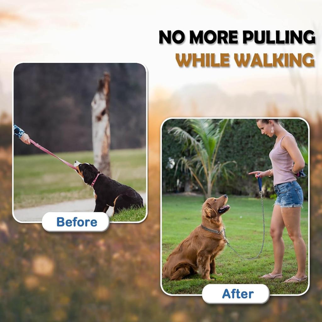 Dog Chain Collar Metal Martingale Anti Chew Training Collars Chew Proof, Chrome Plated, Double Link for Small Medium Dogs (for Pet's Neck 16-19'')