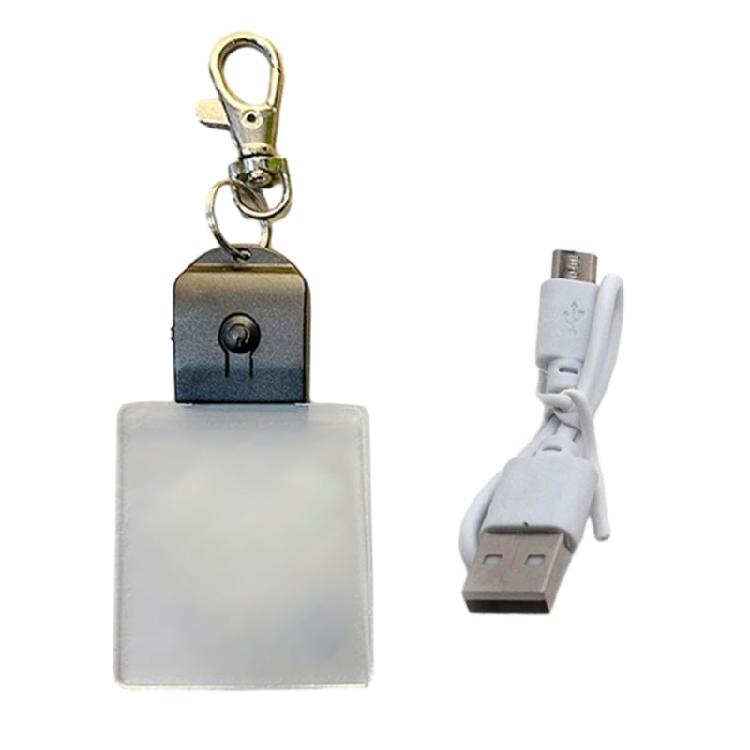 LED Keychain Festival Pattern Luminous Keyring for Outdoor Emergency Daily Use