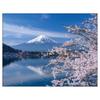 2026 Four Seasons of Fuji Calendar Mt.