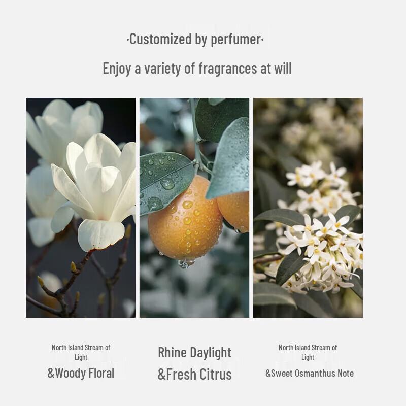 Dear Ilean Fragrant Hand Cream Gift Set