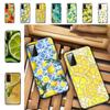 Capas para telemóveis – Para-choques para smartphones