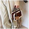 Ielgy Fashion Pillow Bag Autumn Winter Plush Portable All-Match One-Shoulder Messenger Bag