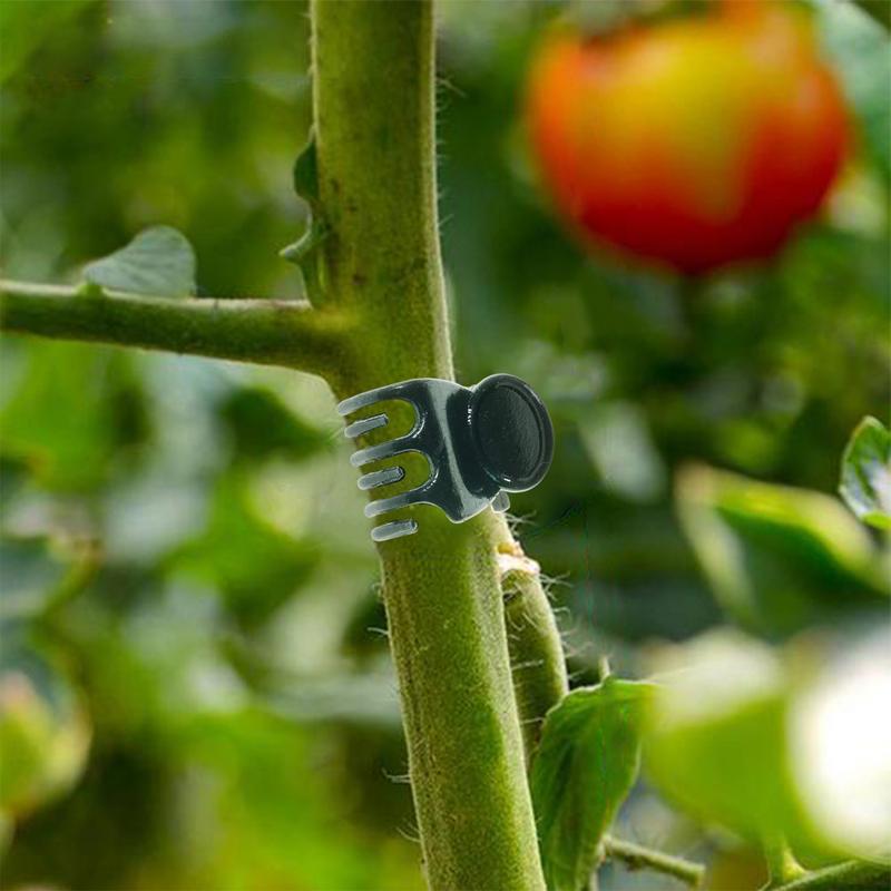 Plant Clips For Support Plant Clips Flower Plant Clamps 100X Garden Clip Tomato Clips Climbing Plants Clips For Flower Vine United States