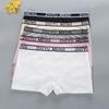 3PC Children's Panties Teens Teenage Cotton Underwear Sport Puberty Big Girl's Pantie Boxer 8-14Years Old