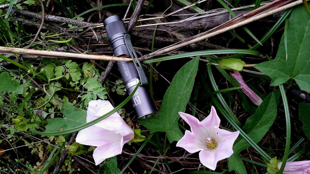 LED Flashlight Micro Very Light and Waterproof for School AA Alkaline Batteries AA Rechargeable Nickel Metal Hydride Batteries Emergency Medical Care