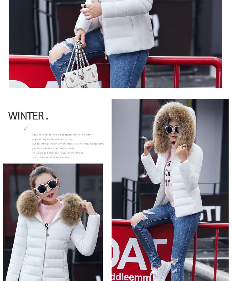 Korean Style Women's Slimming Cotton Down Jacket - Autumn Winter Short Coat