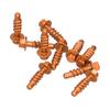 10pcs Aluminum Alloy Anodized Finish Screws for 125 150 200 EXC XC SXF EXCF XCF 1997-2020