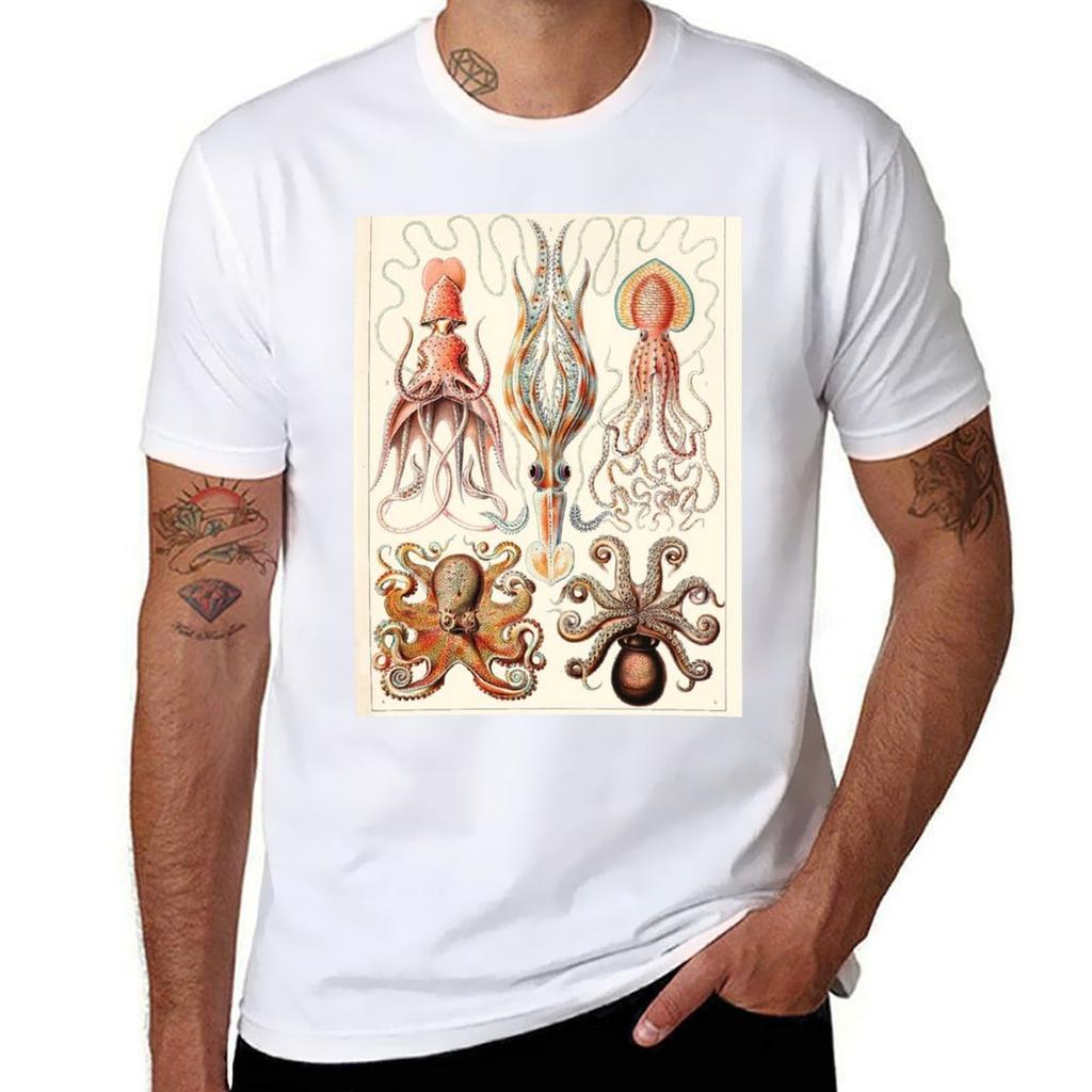 Ernst Haeckel Gamochonia Vintage Science Illustration Tshirt Soft Casual Short Sleeve Cotton Tee